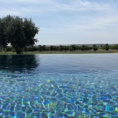 Terras - Agroturismo & Vinhos 贝雅区 外观 照片