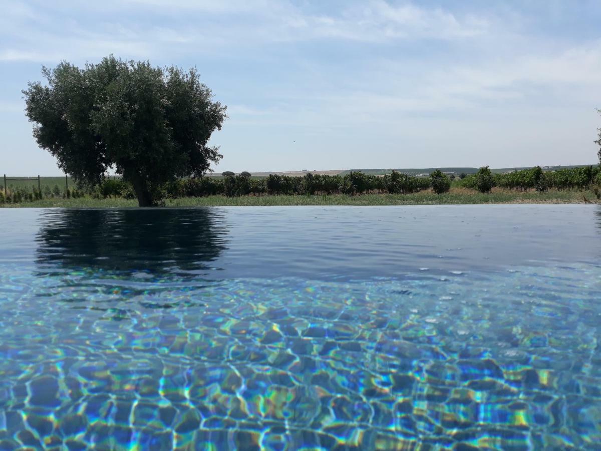 Terras - Agroturismo & Vinhos 贝雅区 外观 照片