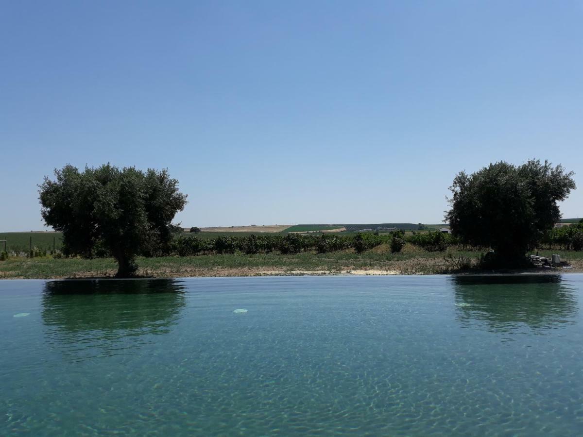 Terras - Agroturismo & Vinhos 贝雅区 外观 照片
